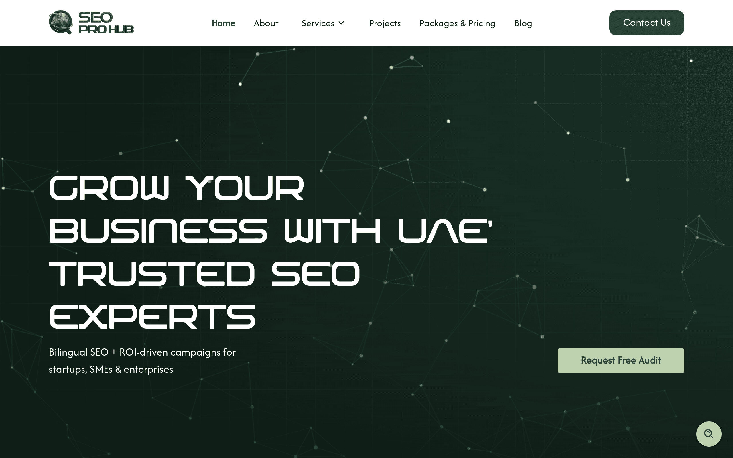 seo-pro-hub desktop preview